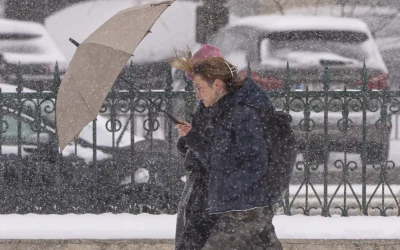 8023082-mediafax_foto-alexandru_dobre-1024x683-1.webp.webp - Presa360