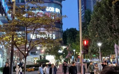 Coreea-de-Sud-Seul-zona-centrala-e1698419320414.jpeg - Presa360