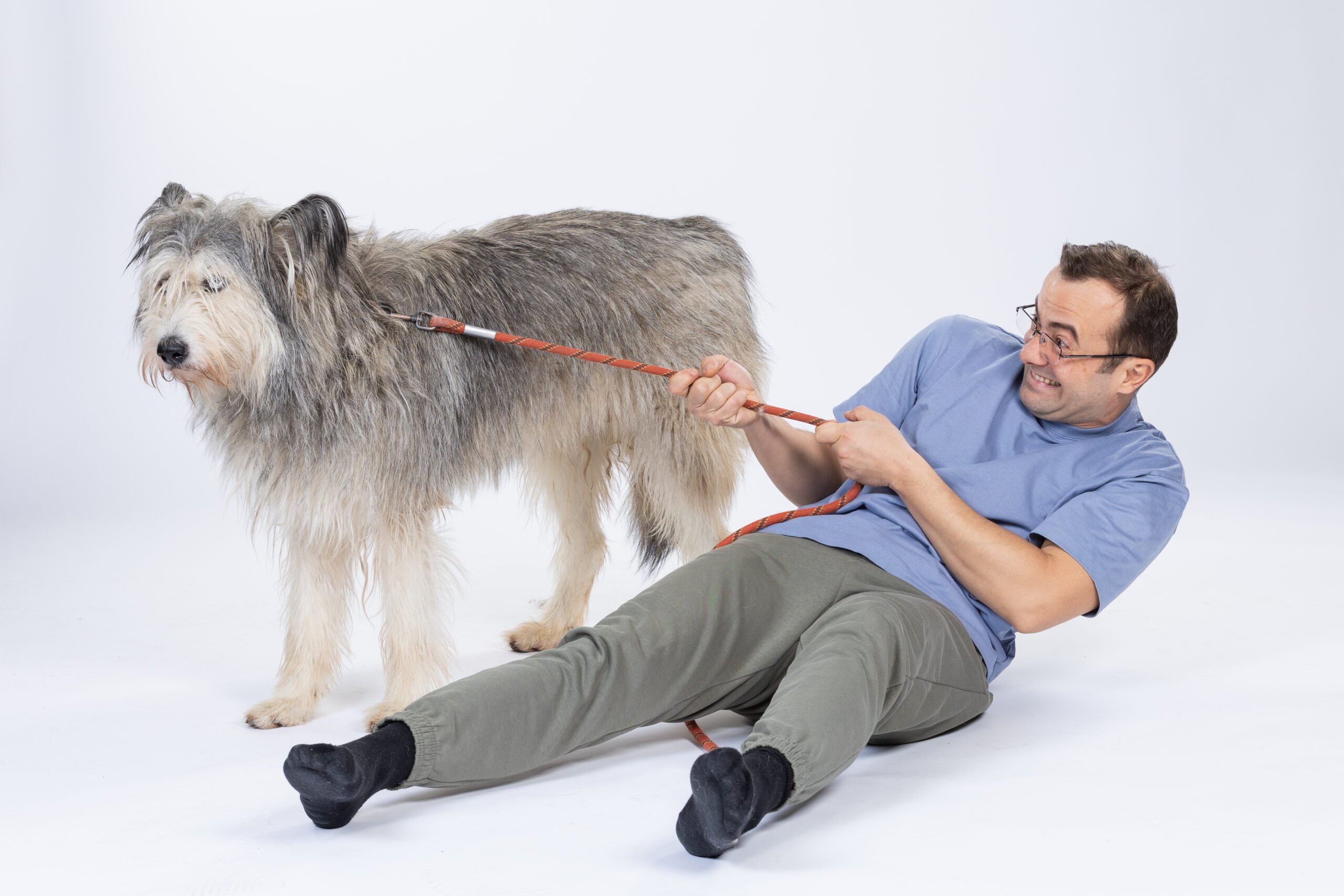 Filmul „Efectul Pufi” și o campanie destinată salvării animalelor fără adăpost O premieră sensibilă și plină de speranță a avut loc recent în cinematografia românească