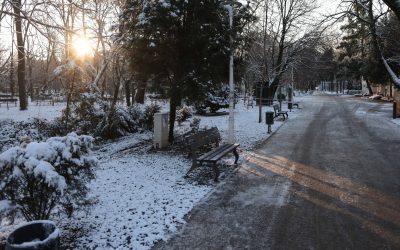 ID330501_INQUAM_Photos_George_Calin-1-e1770545727817.jpg - Presa360