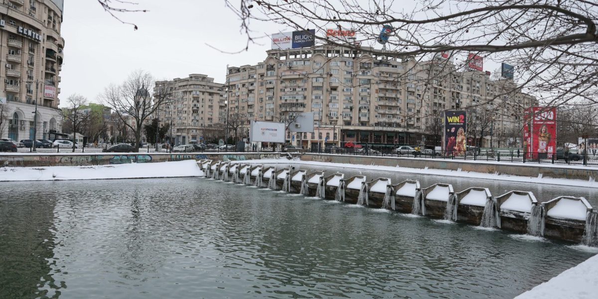 ID332283_INQUAM_Photos_George_Calin-1-e1770468225307.jpg - Presa360