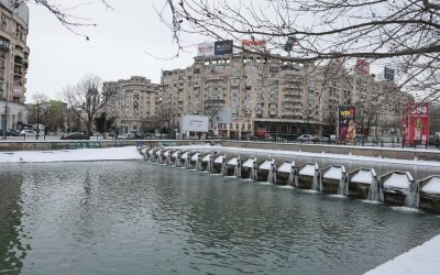 ID332283_INQUAM_Photos_George_Calin-1-e1770468225307.jpg - Presa360