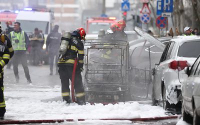 ID333746_INQUAM_Photos_Cosmin_Enache.jpg - Presa360