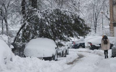 ID333964_INQUAM_Photos_George_Calin-scaled.jpg - Presa360