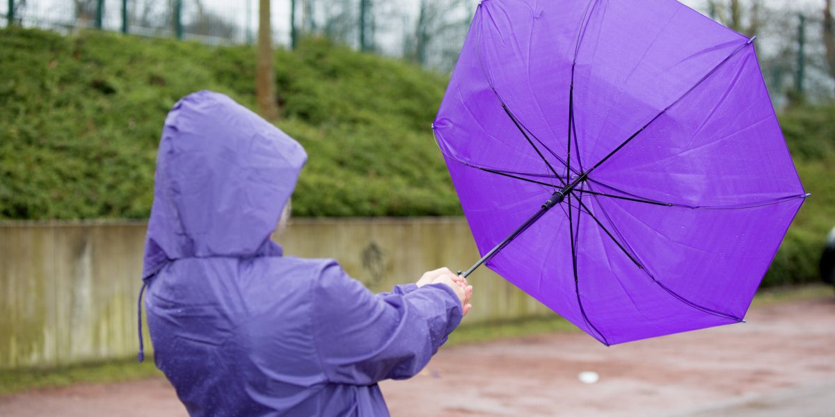 Jmhhc2g9OWZjNzdiMzExNWJhMjcyMzNhZGNmYmFmMWZkOWJhZDk.thumb_.jpg - Presa360