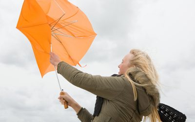 MCZ6Yz0xJmhhc2g9NjEzYTllYTlmYzg5ZWE2NDQyOWU1N2EzZGY1NzhmMDA.thumb_.jpg - Presa360