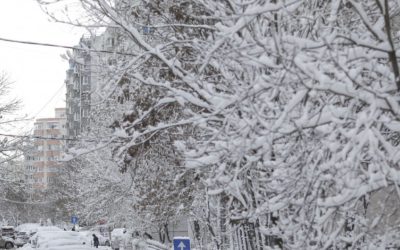 MSZoYXNoPTBjOGFhOWNhNTRhYTQyZmE1YWMxZjlhMmVhMWJlZGNm.thumb_.jpg - Presa360