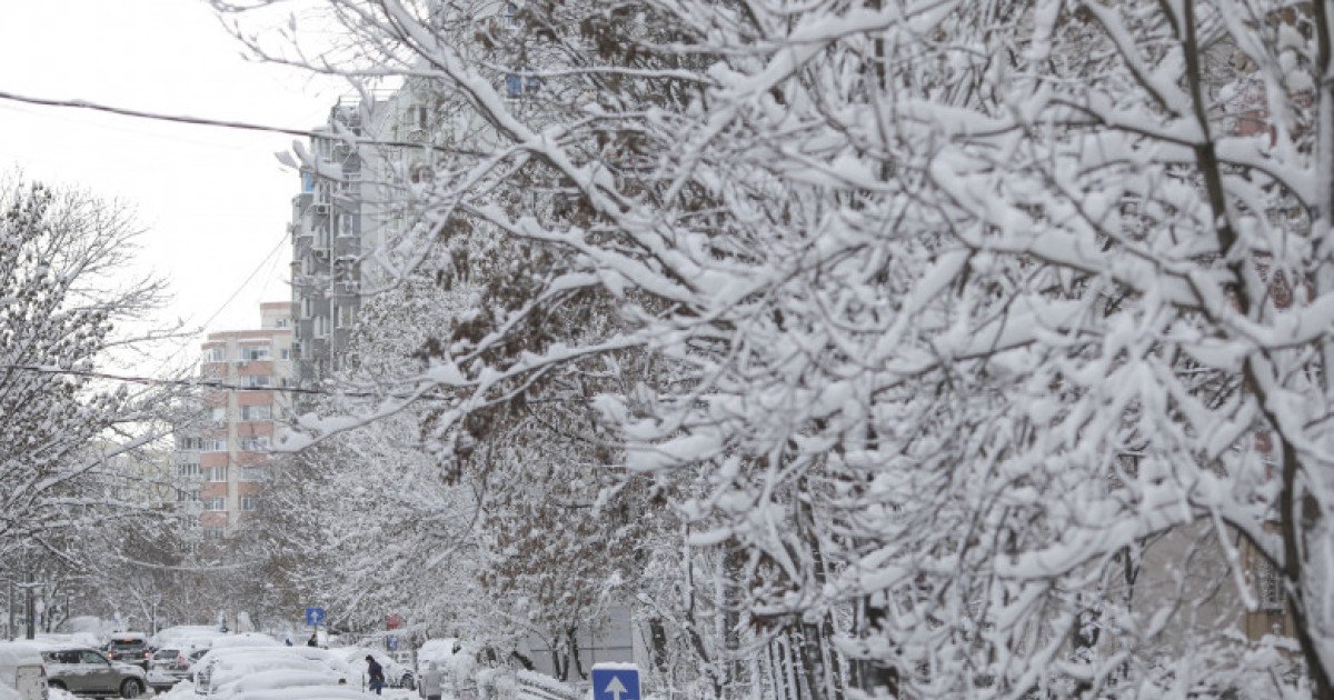 Gerul se întoarce: Ninsori, polei și vânt în aproape toată țara Meteorologii anunță o revenire dramatică a iernii în România, cu ninsori, polei și intensificări ale vântului preconizate să afecteze țara din această noapte și până marți