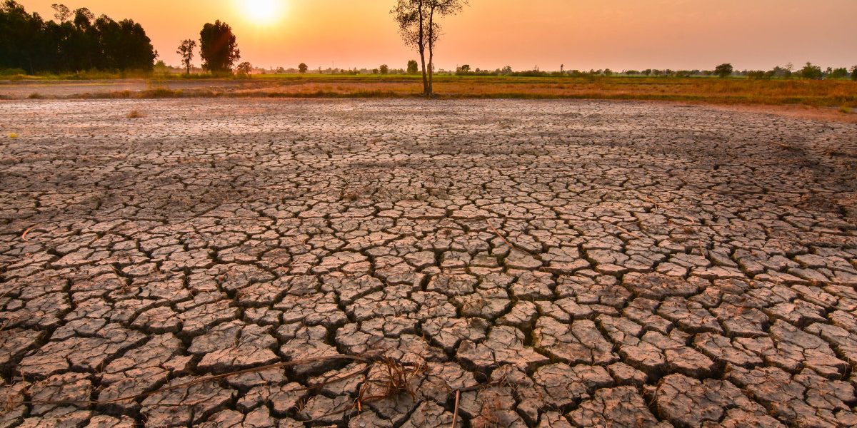 MSZoYXNoPTkwNTY4MWMxZDAyYjQyYTRhNzQ0NmIyMjdhMWNiNTNi.thumb_.jpg - Presa360