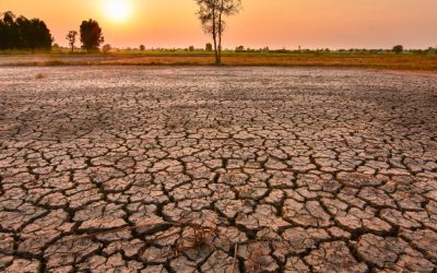 MSZoYXNoPTkwNTY4MWMxZDAyYjQyYTRhNzQ0NmIyMjdhMWNiNTNi.thumb_.jpg - Presa360