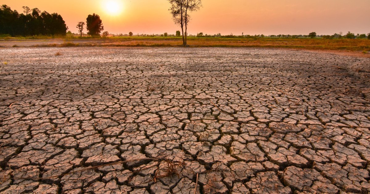 Semnal de alarmă climatic: Fenomenul El Niño ar putea provoca temperaturi record în 2027 Agențiile meteorologice din întreaga lume emit un semnal de alarmă cu privire la posibilitatea formării fenomenului El Niño în Oceanul Pacific, cu implicații semnificative asupra climei globale