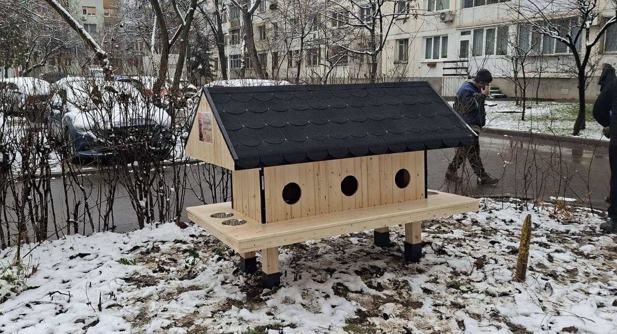Primăvara aduce în Sectorul 6 o nouă inițiativă menită să protejeze și să sprijine comunitățile de animale fără stăpân