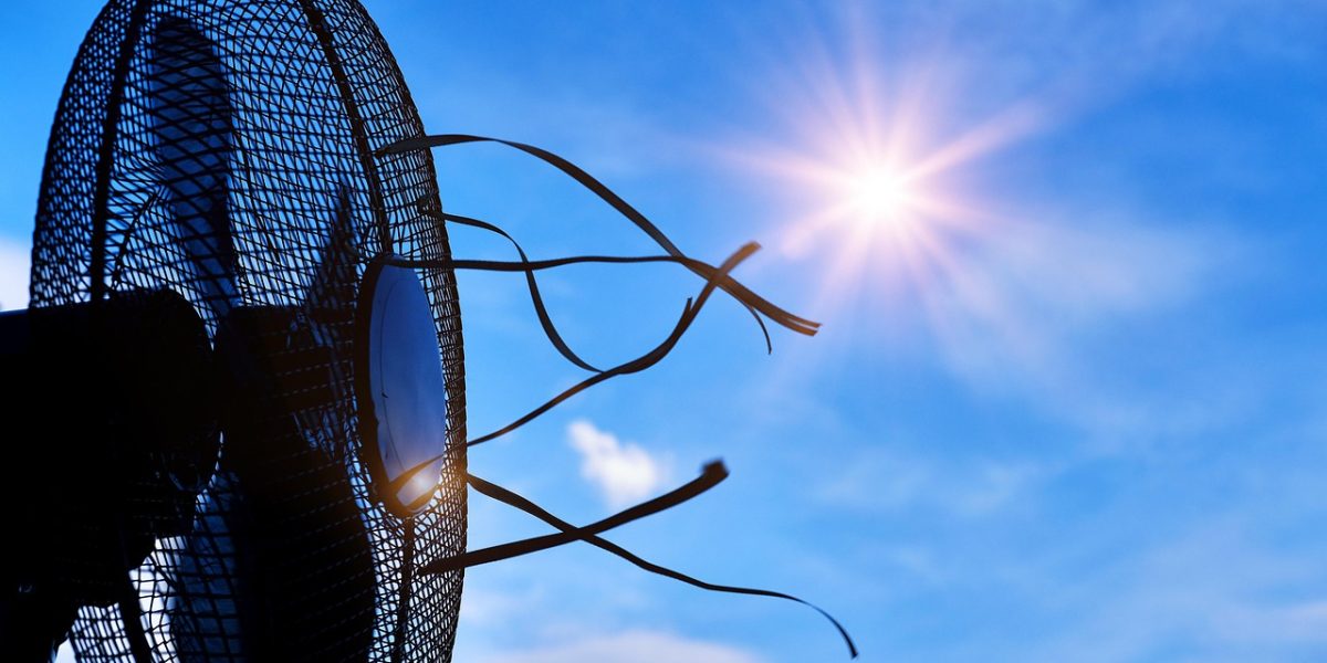 Retea-de-Adaposturi-Climatice-in-Bucuresti-pixabay.jpg - Presa360