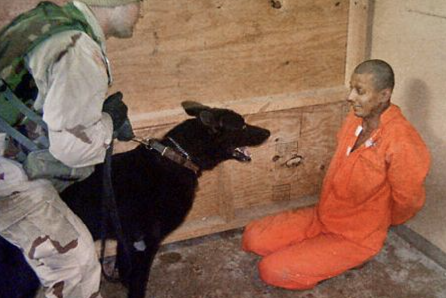 Screenshot-2024-11-12-at-22.31.31.png - Presa360