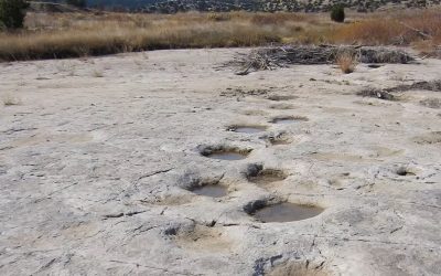 Screenshot-972.jpg - Presa360