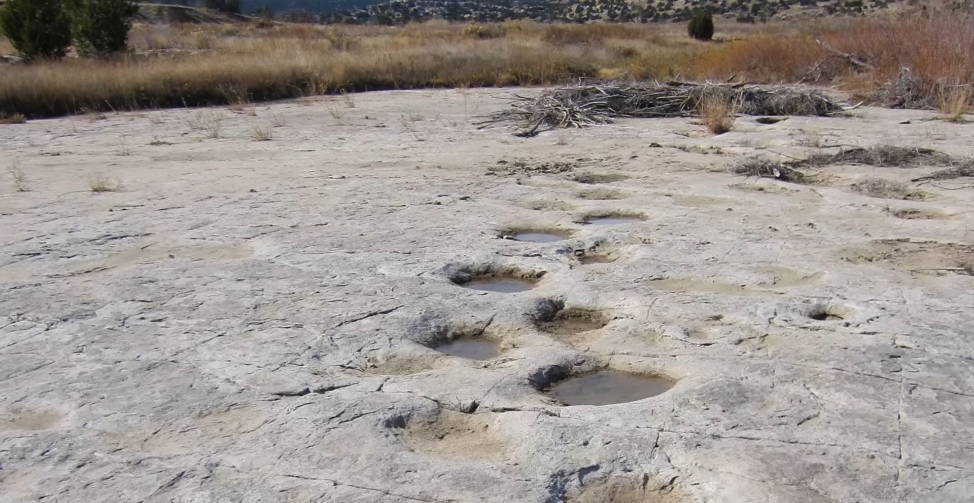 Urmele de pași ale dinozaurilor, unele dintre cele mai fascinante și evocatoare semne din patrimoniul preistoric, continuă să dezvăluie mistere din epoca misteriosului Triasic