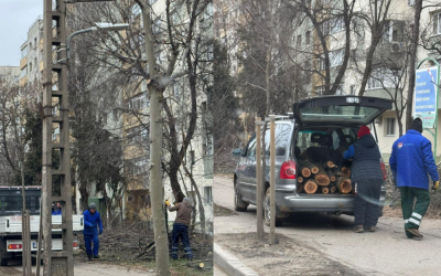 Untitled-design-38-1000x666.png - Presa360