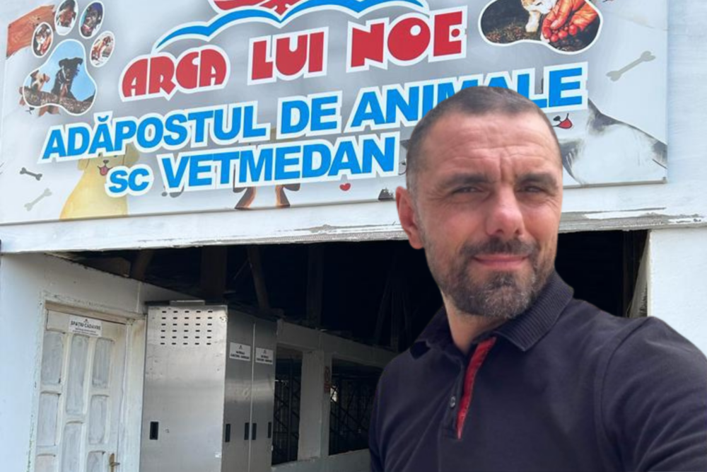Imagini șocante, înregistrări care arată tratamente brutale, și controverse legate de gestionarea câinilor fără stăpân în România ies din nou la iveală, stârnind valuri de indignare și întrebări despre modul în care autoritățile și firmele private gestionează această problemă socială