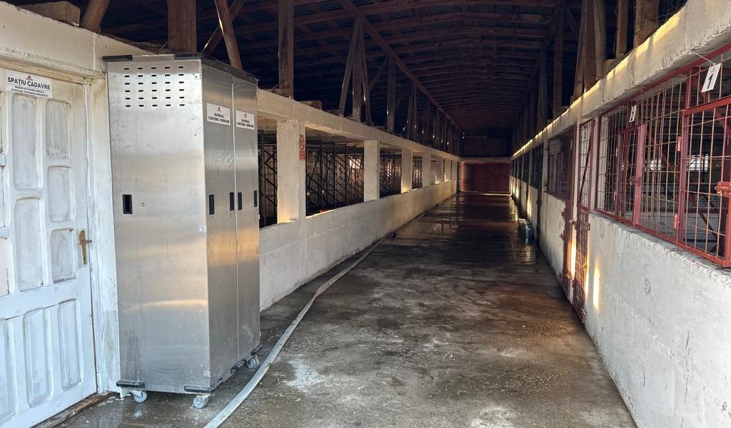 WhatsApp-Image-2023-10-11-at-19.46.47-15-1.jpeg - Presa360