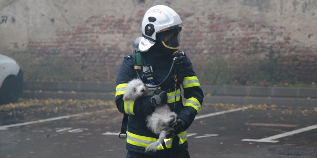 WhatsApp-Image-2024-12-07-at-14.50.32.jpeg - Presa360