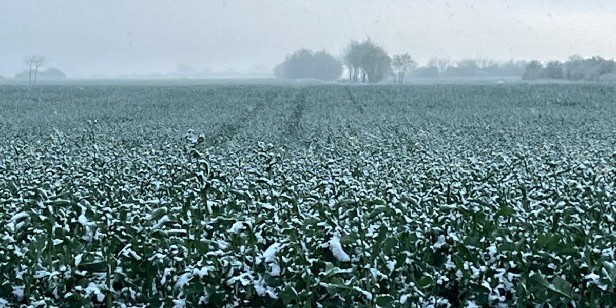 WhatsApp-Image-2025-04-07-at-19.45.18.jpeg - Presa360