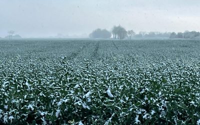 WhatsApp-Image-2025-04-07-at-19.45.18.jpeg - Presa360