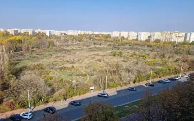 amendaior-1.webp.webp - Presa360