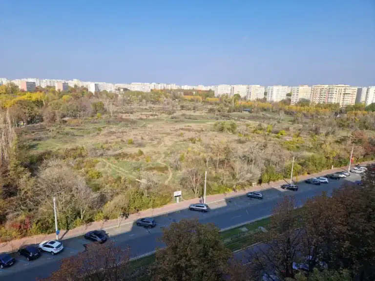 amendaior-1.webp.webp - Presa360