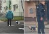 amenzi-bucuresteni-care-nu-strang-dupa-cainii-lor.jpg - Presa360