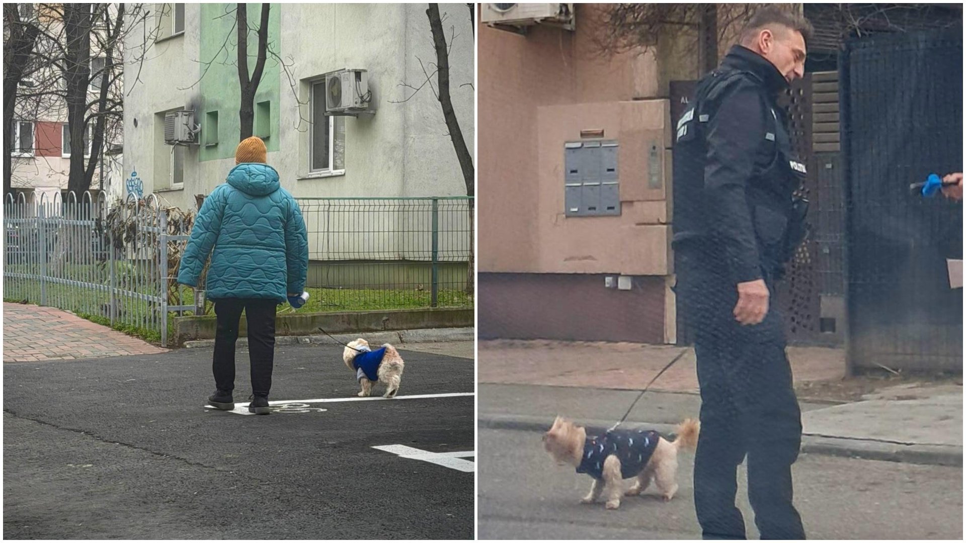 Bucureștiul în criză de responsabilitate civică: Amenzi drastice pentru nierespectarea normelor de curățenie în Sectorul 3 Orașul reușește să surprindă, încă o dată, prin modul în care unii deținători de animale de companie aleg să își gestioneze responsabilitățile civice