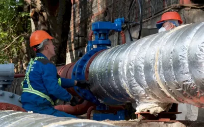 apa-c-1260x709-1-1.webp.webp - Presa360