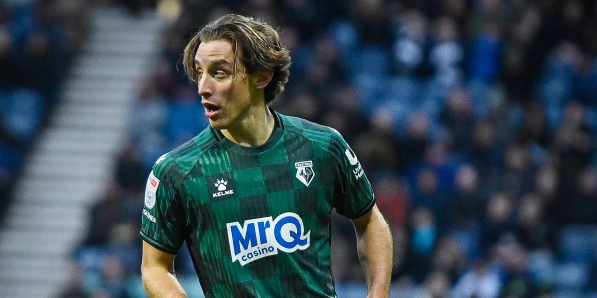 bove-2.jpg - Presa360