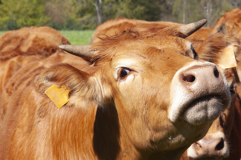 dreamstime_s_356501068.jpg - Presa360