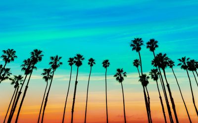 dreamstime_xl_37498786.jpg - Presa360