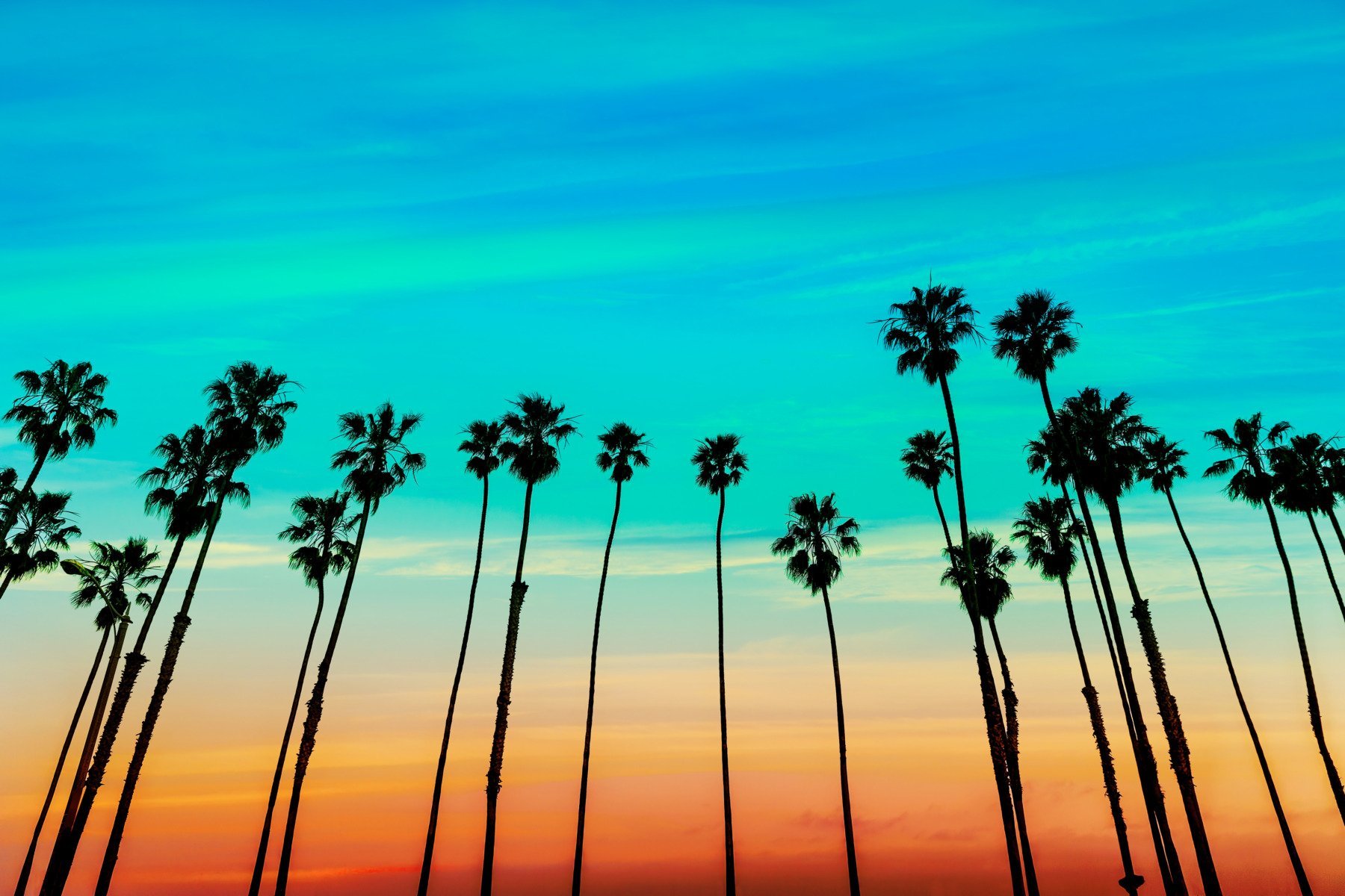 Rezidenți ai unui complex nudist din California trăiesc momente tensionate după ce proprietarii au recurs la măsuri drastice pentru a încerca să îi convingă să se conformeze regulilor de vestimentație, într-un conflict care a ajuns deja în atenția publicului și a autorităților locale