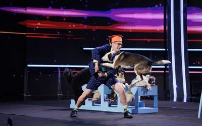 dresor-caini.jpg - Presa360