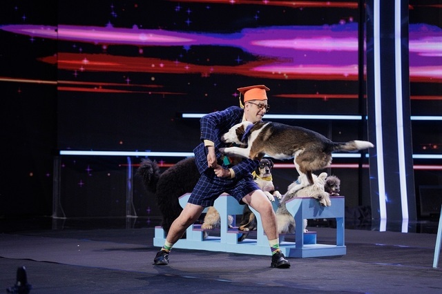 dresor-caini.jpg - Presa360