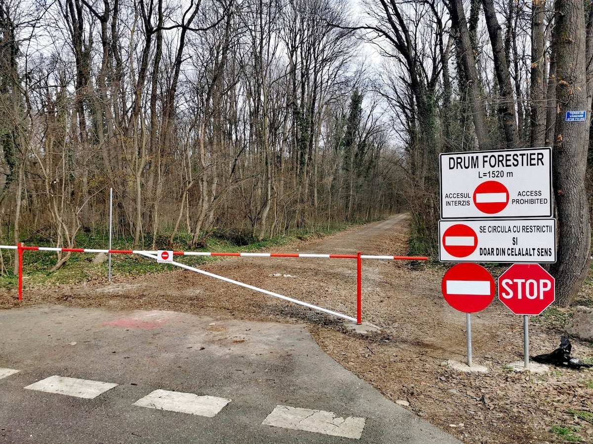 Romsilva invocă decrete comuniste pentru modernizarea drumului din Greenfield: „aleea modernizată pentru vehicule” și „drum forestier și de agrement”