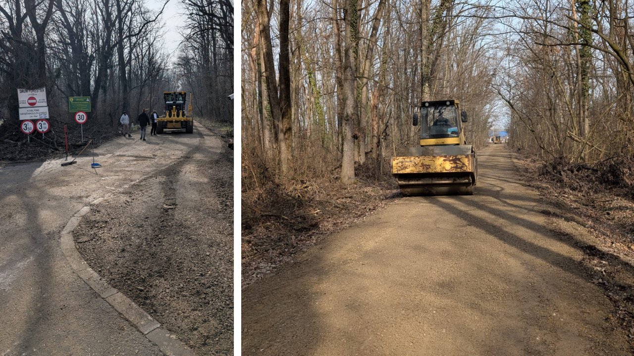 Dezastru administrativ în pădurea Băneasa: drum ilegal reabilitat, ministerul solicită reîmpădurirea Situație tensionată în pădurea Băneasa, unde un drum menționat ca fiind ilegal și neprevăzut în acte a devenit subiectul unui scandal administrativ care pune sub semnul întrebării atât legalitatea, cât și intențiile reale din spatele intervențiilor din această zonă protejată a Capitalei