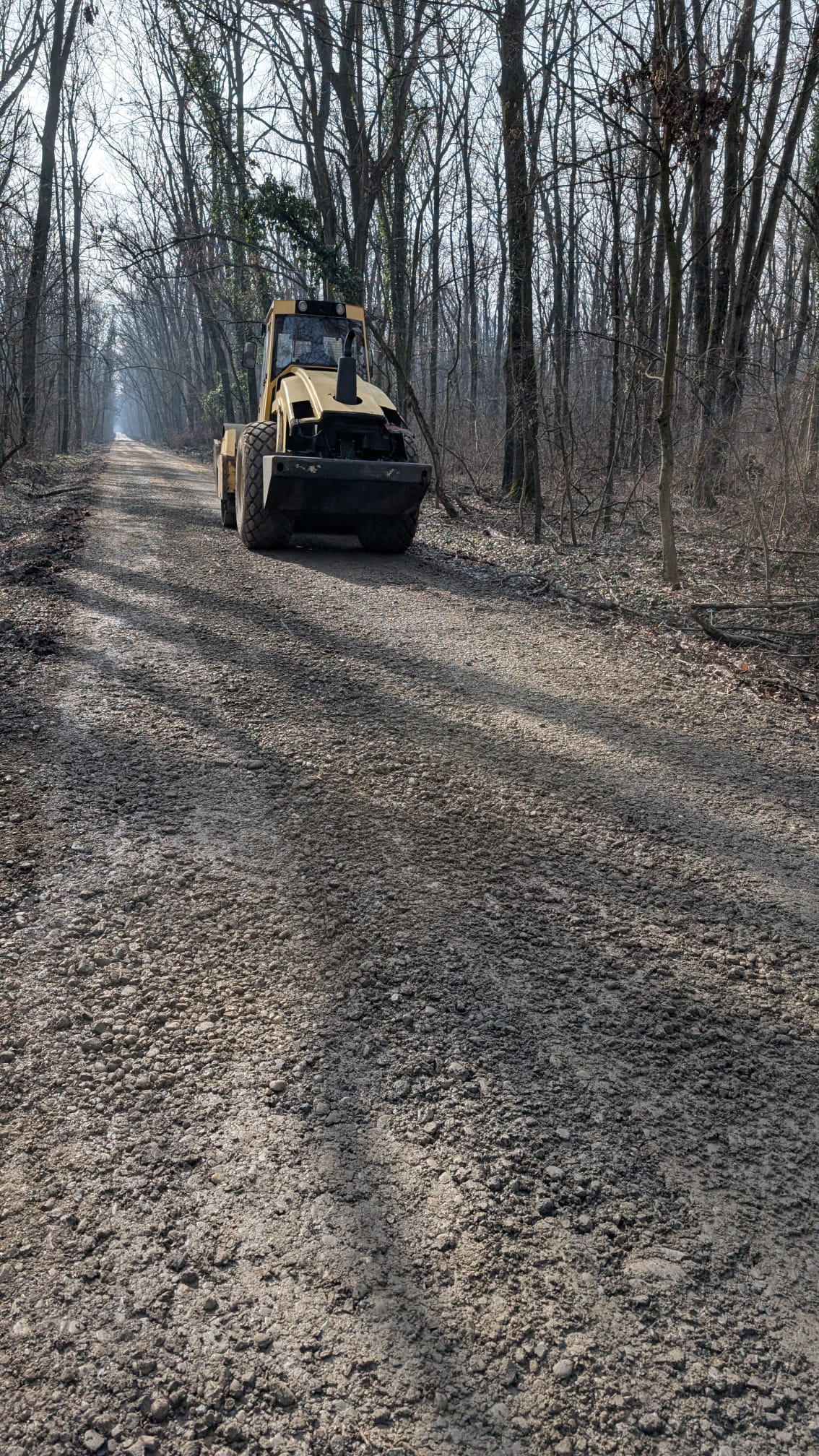 Utilajele din pădurea Băneasa: între reparații pentru siguranță și controverse legale În ciuda măsurilor de reabilitare desfășurate recent în pădurea Băneasa, situația drumurilor forestiere din apropierea cartierului Greenfield continuă să fie subiect de dispută