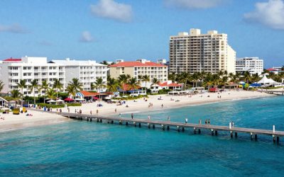 freepik__newsstyle-photo-of-palm.jpg - Presa360