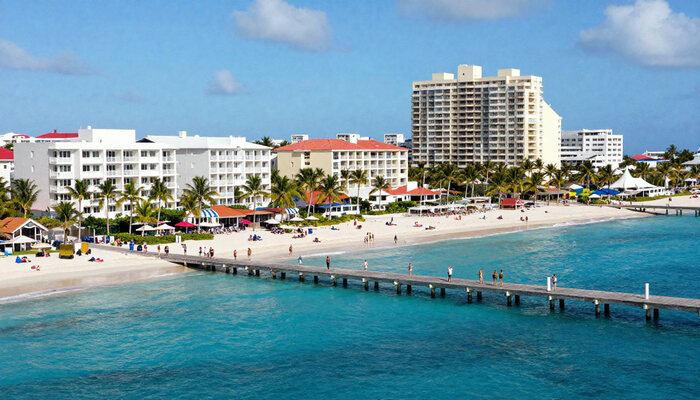 freepik__newsstyle-photo-of-palm.jpg - Presa360