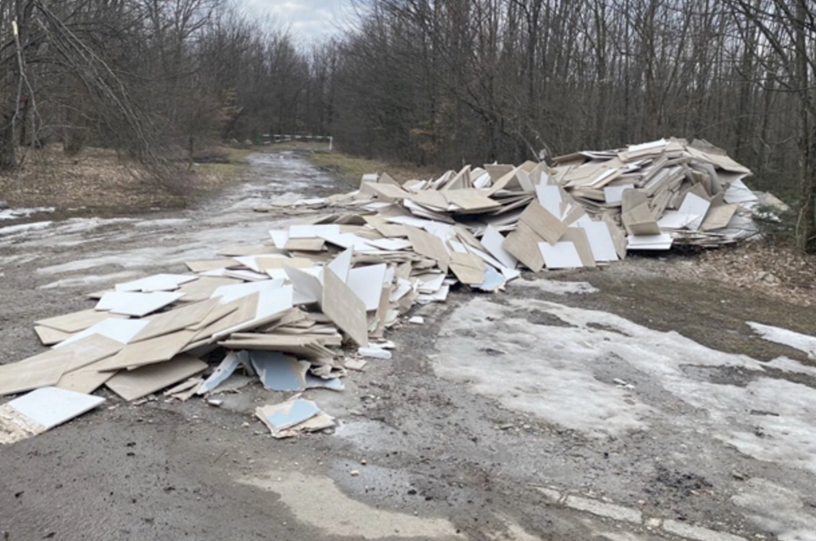Dezastru ecologic în inima Parcului Național Cheile Nerei–Beușnița: resturi de construcții abandonate ilegal în mijlocul naturii Într-o zonă protejată de o frumusețe spectaculoasă, Parcul Național Cheile Nerei–Beușnița, a fost descoperită o practică ilegală cu impact devastator asupra ecosistemelor
