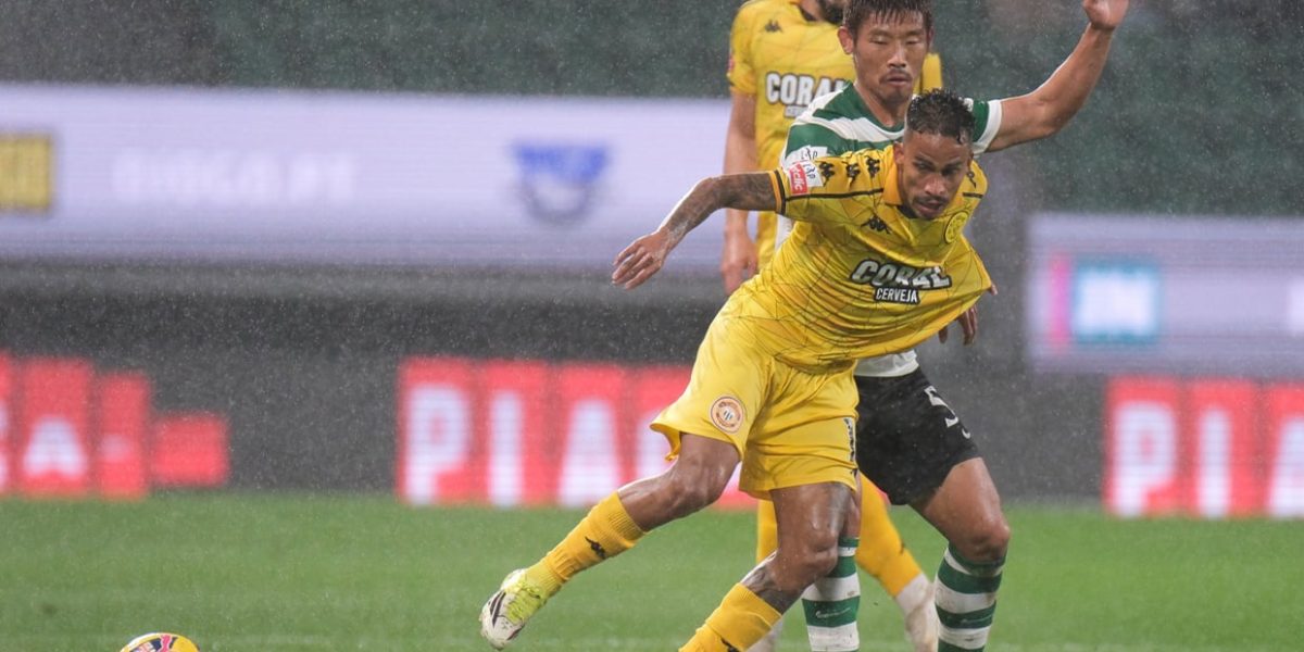 imgS620I1042461T20260201220927.jpg - Presa360