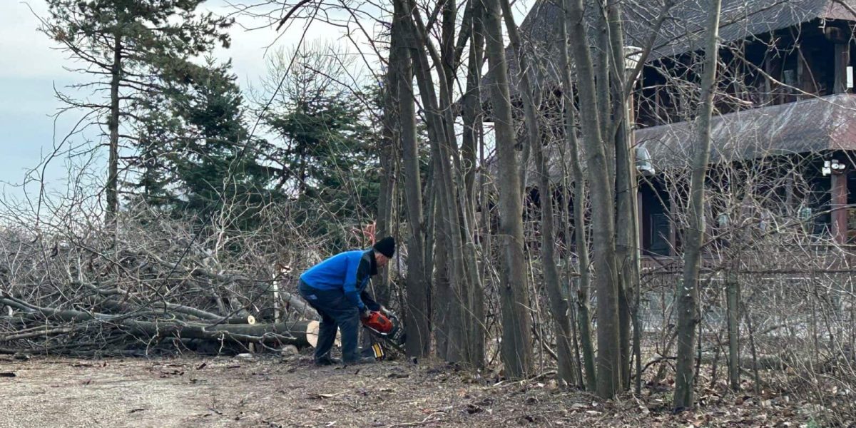 ior-aprc-1-3.jpg - Presa360