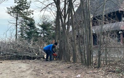 ior-aprc-1-3.jpg - Presa360