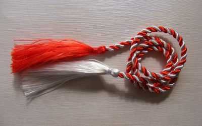 martisor-g62ca44d9b_1280.jpg - Presa360