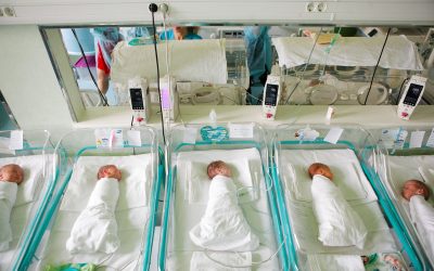 nou-nascut_INQUAM_Photos_George_Calin.jpg - Presa360