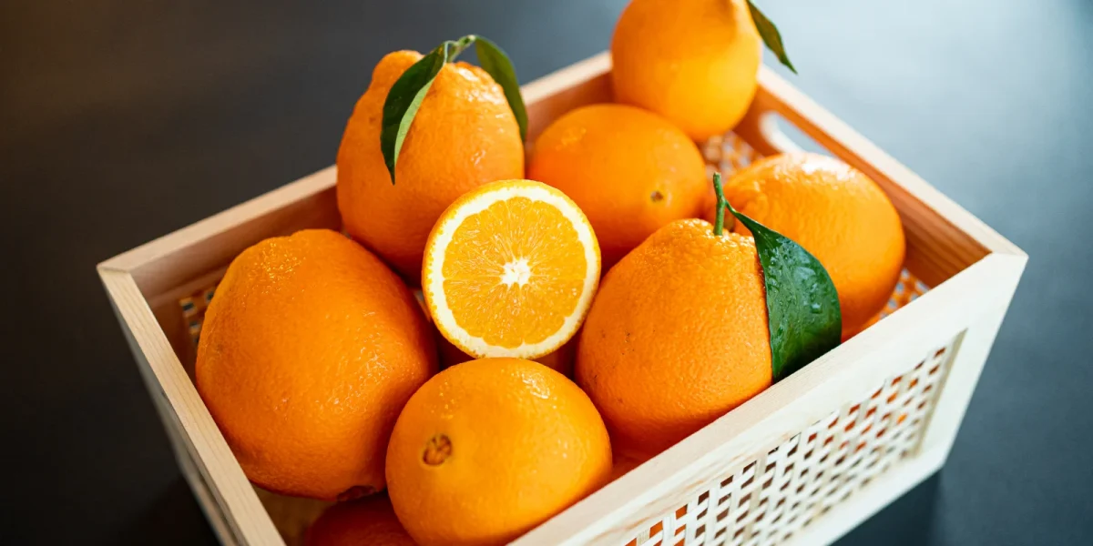 portocale-789528.webp.webp - Presa360