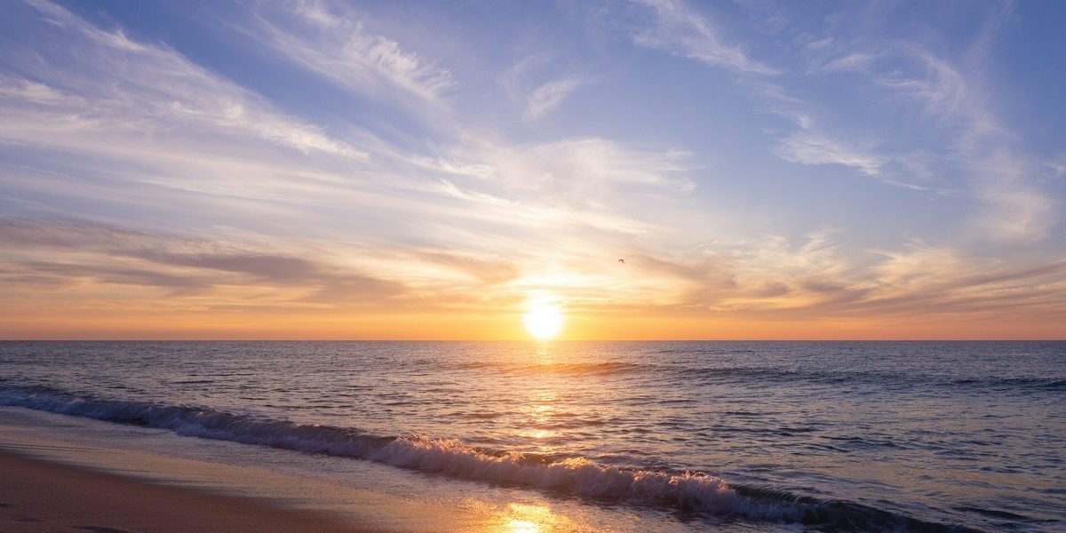 rasarit.jpg - Presa360